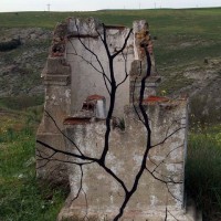 blog1